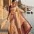 Chikoo tapela dying dola silk blend saree with blouse