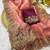 Gajari coding embroidery work gold crush saree with blouse