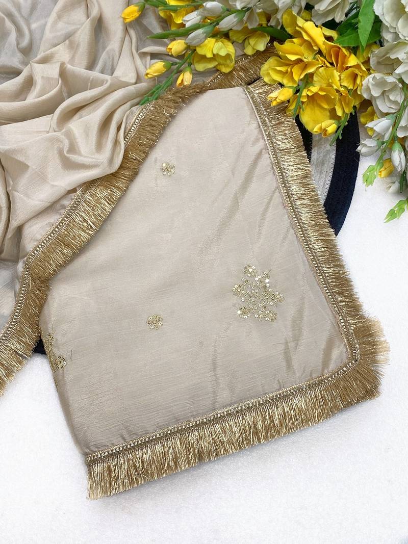 Chikoo multicolor sequece embroidery work chinon saree with blouse