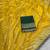 Yellow hand dying & embroidery lace dola silk blend saree with blouse