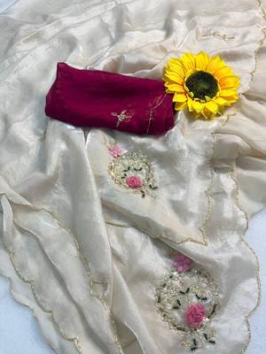 Chikoo handwork fendy satin saree with blouse 5