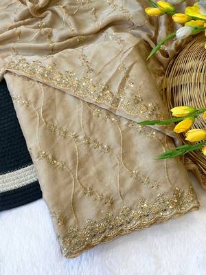 Chikoo multicolor sequece embroidery work rangoli saree with blouse 3