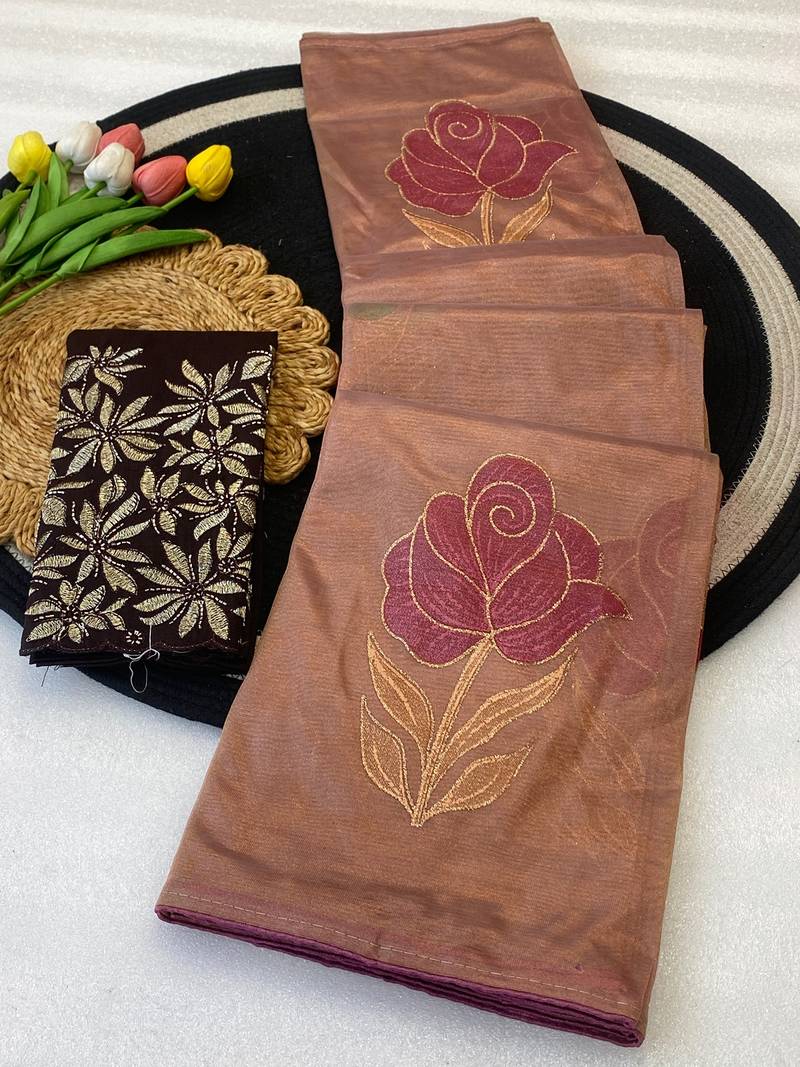 Chikoo foil work twill net saree with blouse