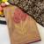 Chikoo foil work twill net saree with blouse