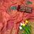 Gajari foil work twill net saree with blouse