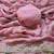 Baby pink multicolor sequece embroidery work nc moss saree with blouse