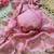 Baby pink multicolor sequece embroidery work nc moss saree with blouse