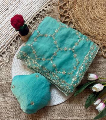 Firozi multicolor sequece embroidery work nc moss saree with blouse 1