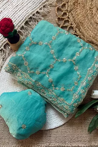 Firozi multicolor sequece embroidery work nc moss saree with blouse