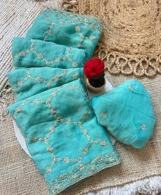 Firozi multicolor sequece embroidery work nc moss saree with blouse 4