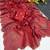 Maroon handwork rangoli saree with blouse