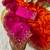 Pink orange multicolor sequece embroidery work chinon saree with blouse