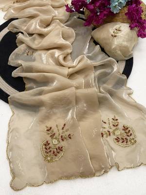 Chikoo handwork fendy satin saree with blouse 2