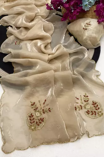 Chikoo handwork fendy satin saree with blouse