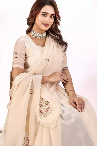 Chikoo handwork fendy satin saree with blouse