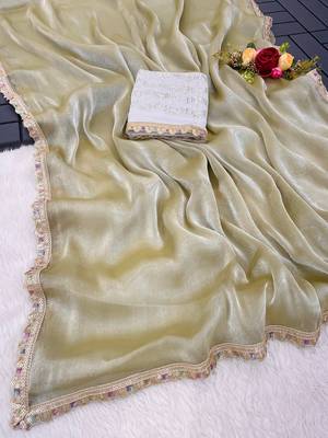 Chikoo multicolor sequece embroidery work  saree with blouse 2