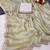 Chikoo multicolor sequece embroidery work  saree with blouse