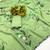 Pista brush paint georgette saree with blouse