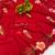 Red brush paint georgette saree with blouse