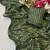Mehndi multicolor sequece embroidery work satin chiffon saree with blouse