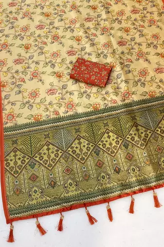 Chikoo digital print zarna silk blend saree with blouse
