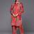 Women Printed Shirt Collar Straight Kurta With Trousers
