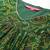 Bandhani Printed Empire Gotta Patti Kurta With Trousers & Dupatta