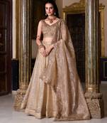Gold Crush Fabric Chaniya Choli with Sequins Embroidery
