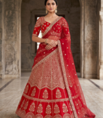 Red Bridal Lehenga Choli for Women with Heavy Embroidery & Dupatta