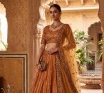 Brown Embroidered Lehenga Choli for Women with Dupatta