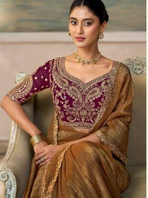 Chiku luxurious party wear saree 2