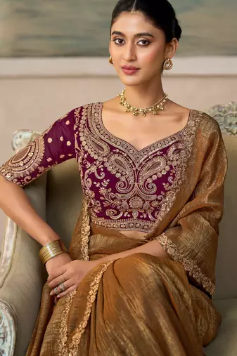 Chiku luxurious party wear saree