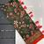 dark green color kalamkari prints contrast pallu cotton blend saree