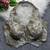 Grey heavy position work partywear blouse
