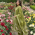 olive green embroidered sequence yoke work malmal cotton flared anarkali salwar kameez suit set