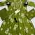 olive green embroidered sequence yoke work malmal cotton flared anarkali salwar kameez suit set