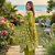 Beautiful jaipuri women olive green star kantha work cotton kurta pant and dupatta set