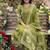 olive green embroidered sequence yoke work malmal cotton flared anarkali salwar kameez suit set