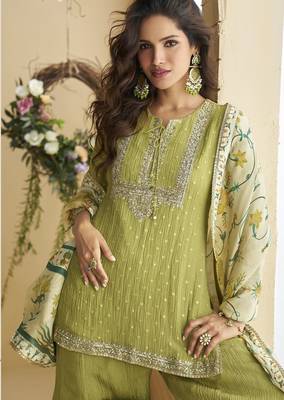Pista color beautiful embroidered graceful wedding special palazzo dress 2