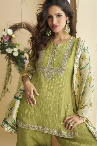 Pista color beautiful embroidered graceful wedding special palazzo dress