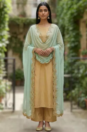 Sky blue color organza fabric sequins embroidery work ceremonial dupatta