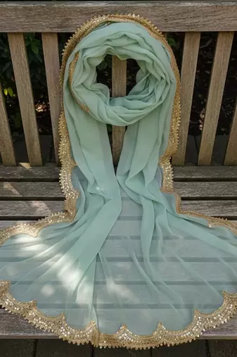 Sky blue color organza fabric sequins embroidery work ceremonial dupatta