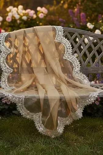 Beige color organza fabric sequins embroidery work ceremonial dupatta