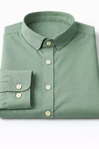 Green color formal solid linen cotton rich looks shirt for men