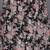 Women Black Floral Printed Empire Kurta with Sharara & With Dupatta
