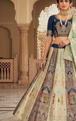 multicolor embroidered lehenga choili 