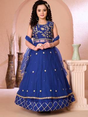 Royal blue embroidered net a line lehenga choli dupatta 1