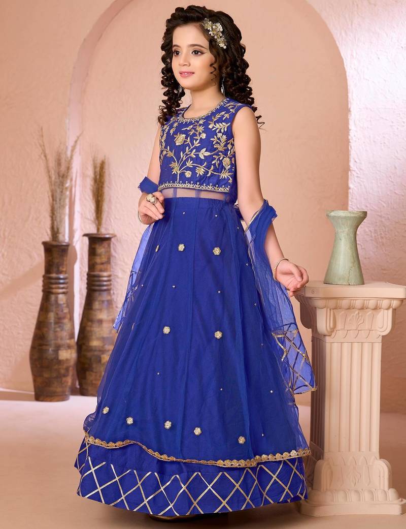 Royal blue embroidered net a line lehenga choli dupatta