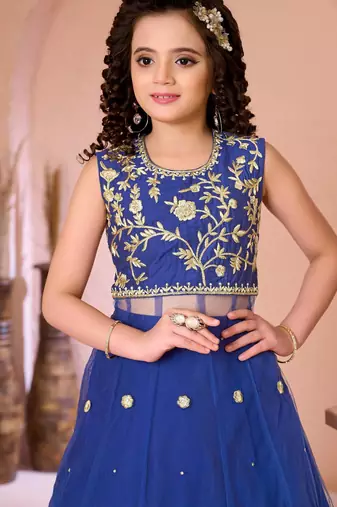 Royal blue embroidered net a line lehenga choli dupatta