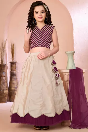 Dark purple embroidered cotton silk a line lehenga choli dupatta